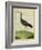 Purple Swamphen-Georges-Louis Buffon-Framed Giclee Print