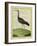 Purple Swamphen-Georges-Louis Buffon-Framed Giclee Print