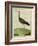 Purple Swamphen-Georges-Louis Buffon-Framed Giclee Print