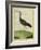 Purple Swamphen-Georges-Louis Buffon-Framed Giclee Print