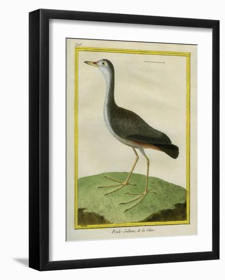 Purple Swamphen-Georges-Louis Buffon-Framed Giclee Print