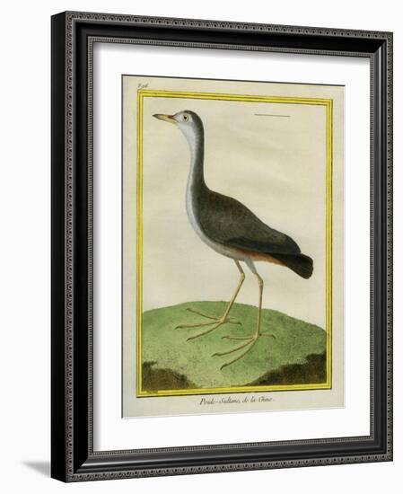 Purple Swamphen-Georges-Louis Buffon-Framed Giclee Print