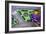 Purple Toy Car on Street Mat-null-Framed Photo