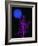 Purple Tree and Blue Moon-Jasmine Woods-Framed Art Print