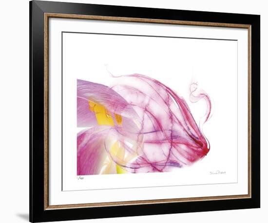 Purple Tulip Abstract No 128-Shams Rasheed-Framed Giclee Print