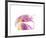 Purple Tulip Abstract No 129-Shams Rasheed-Framed Giclee Print