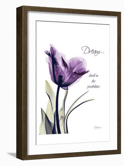 Purple Tulip, Dream-Albert Koetsier-Framed Art Print