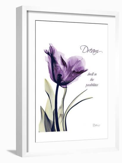 Purple Tulip, Dream-Albert Koetsier-Framed Art Print