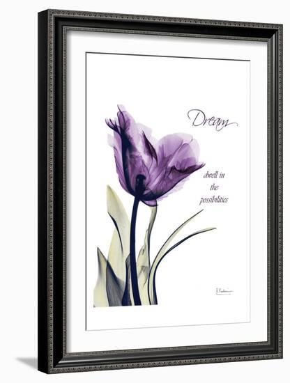 Purple Tulip, Dream-Albert Koetsier-Framed Art Print