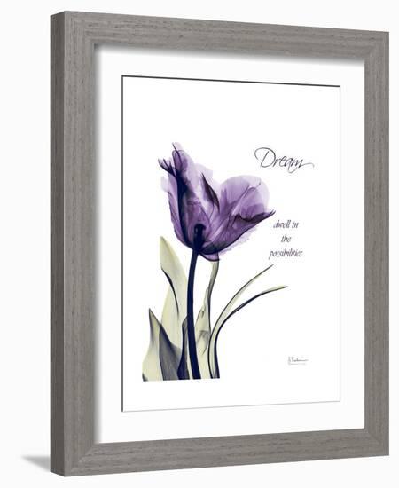 Purple Tulip Dream-Albert Koetsier-Framed Premium Giclee Print