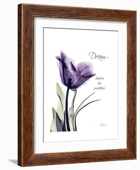 Purple Tulip Dream-Albert Koetsier-Framed Premium Giclee Print