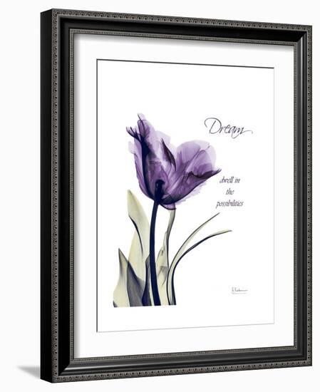 Purple Tulip Dream-Albert Koetsier-Framed Premium Giclee Print