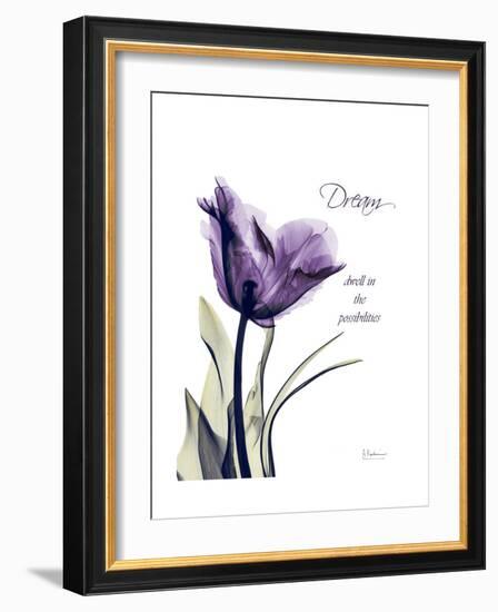 Purple Tulip Dream-Albert Koetsier-Framed Premium Giclee Print