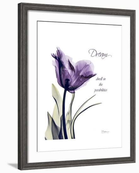 Purple Tulip Dream-Albert Koetsier-Framed Premium Giclee Print