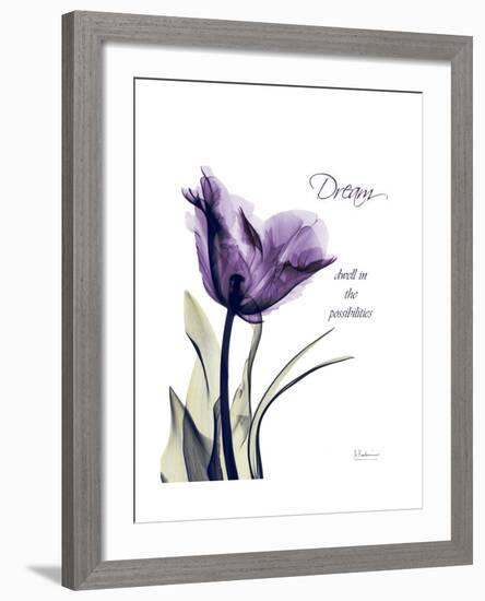 Purple Tulip Dream-Albert Koetsier-Framed Premium Giclee Print