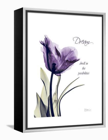 Purple Tulip Dream-Albert Koetsier-Framed Stretched Canvas