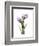 Purple Tulip Portrait 2-Albert Koetsier-Framed Premium Giclee Print