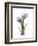 Purple Tulip Portrait 2-Albert Koetsier-Framed Premium Giclee Print