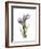 Purple Tulip Portrait 2-Albert Koetsier-Framed Premium Giclee Print