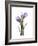 Purple Tulip Portrait 2-Albert Koetsier-Framed Premium Giclee Print