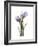 Purple Tulip Portrait 2-Albert Koetsier-Framed Premium Giclee Print