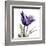 Purple Tulip Portrait-Albert Koetsier-Framed Art Print