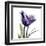 Purple Tulip Portrait-Albert Koetsier-Framed Art Print