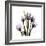 Purple Tulip Square-Albert Koetsier-Framed Premium Giclee Print