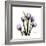 Purple Tulip Square-Albert Koetsier-Framed Premium Giclee Print