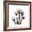 Purple Tulip Square-Albert Koetsier-Framed Premium Giclee Print