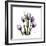 Purple Tulip Square-Albert Koetsier-Framed Premium Giclee Print