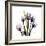 Purple Tulip Square-Albert Koetsier-Framed Premium Giclee Print