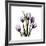 Purple Tulip Square-Albert Koetsier-Framed Giclee Print