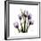 Purple Tulip Square-Albert Koetsier-Framed Giclee Print