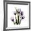 Purple Tulip Square-Albert Koetsier-Framed Giclee Print