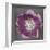 Purple Tulip-Erin Clark-Framed Giclee Print