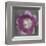 Purple Tulip-Erin Clark-Framed Art Print