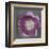 Purple Tulip-Erin Clark-Framed Art Print