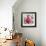 Purple Tulip-Joadoor-Framed Art Print displayed on a wall