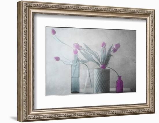 Purple Tulips-Delphine Devos-Framed Photographic Print