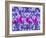 Purple Tulips-Ata Alishahi-Framed Giclee Print