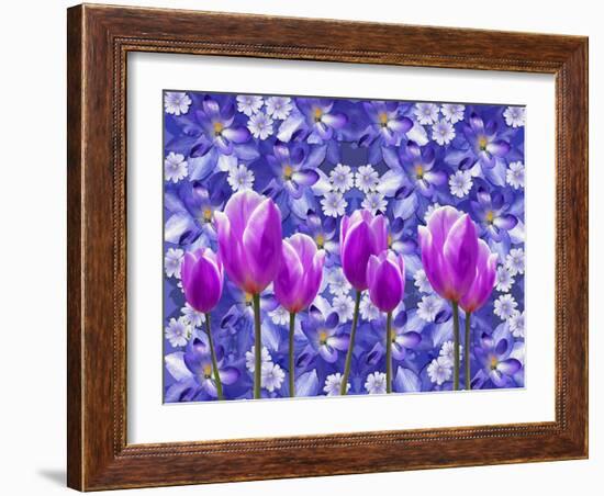 Purple Tulips-Ata Alishahi-Framed Giclee Print