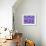 Purple Tulips-Ata Alishahi-Framed Giclee Print displayed on a wall