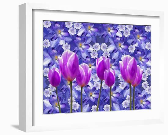 Purple Tulips-Ata Alishahi-Framed Giclee Print