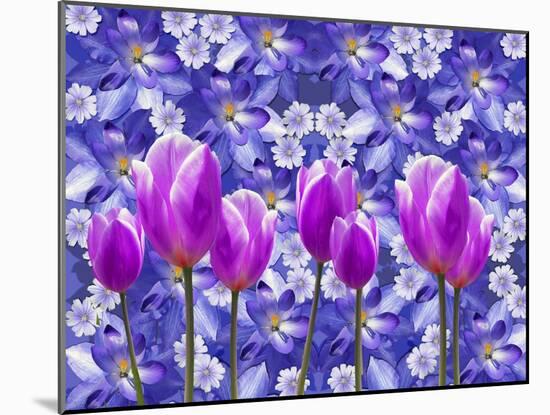 Purple Tulips-Ata Alishahi-Mounted Giclee Print