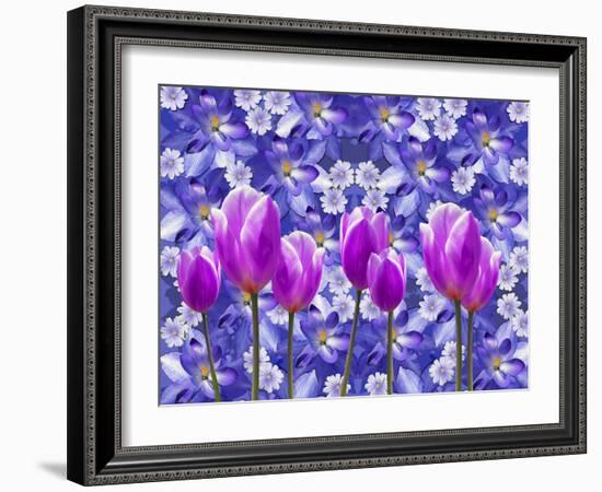 Purple Tulips-Ata Alishahi-Framed Giclee Print