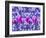 Purple Tulips-Ata Alishahi-Framed Giclee Print