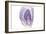 Purple Watercolor Agate I-Susan Bryant-Framed Art Print