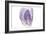 Purple Watercolor Agate I-Susan Bryant-Framed Art Print