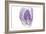 Purple Watercolor Agate I-Susan Bryant-Framed Premium Giclee Print